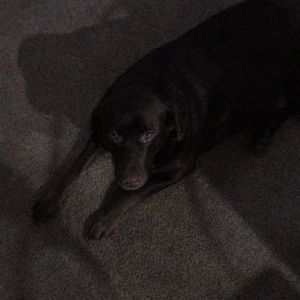 Meet your Posher, Mike